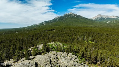 For the first time ever, this Historic Hazelton Peak Retreat - photo 25