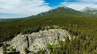 For the first time ever, this Historic Hazelton Peak Retreat - photo 26