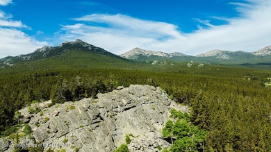 For the first time ever, this Historic Hazelton Peak Retreat - photo 29