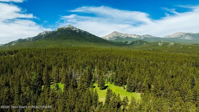 For the first time ever, this Historic Hazelton Peak Retreat - photo 30
