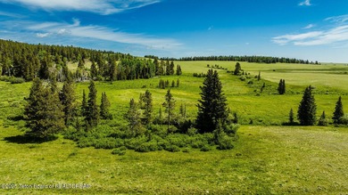 For the first time ever, this Historic Hazelton Peak Retreat - photo 31