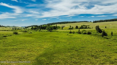For the first time ever, this Historic Hazelton Peak Retreat - photo 32