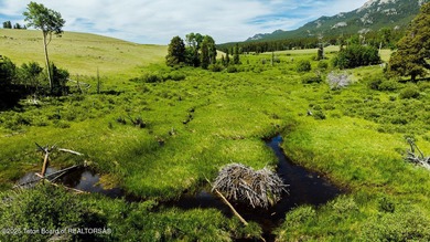 For the first time ever, this Historic Hazelton Peak Retreat - photo 33