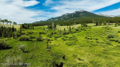 For the first time ever, this Historic Hazelton Peak Retreat - photo 35