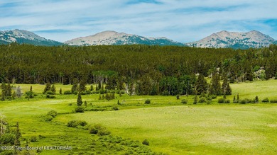 For the first time ever, this Historic Hazelton Peak Retreat - photo 41