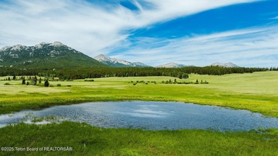 For the first time ever, this Historic Hazelton Peak Retreat - photo 44