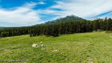 For the first time ever, this Historic Hazelton Peak Retreat - photo 46