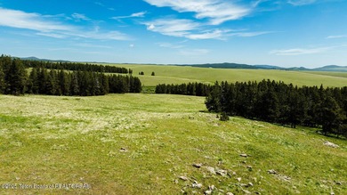 For the first time ever, this Historic Hazelton Peak Retreat - photo 47