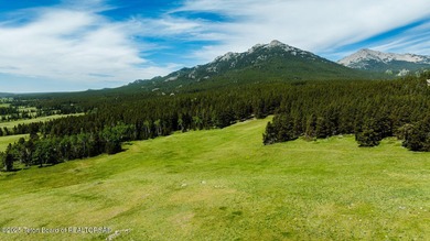 For the first time ever, this Historic Hazelton Peak Retreat - photo 48