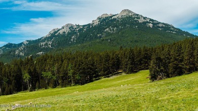 For the first time ever, this Historic Hazelton Peak Retreat - photo 49