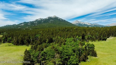 For the first time ever, this Historic Hazelton Peak Retreat - photo 50