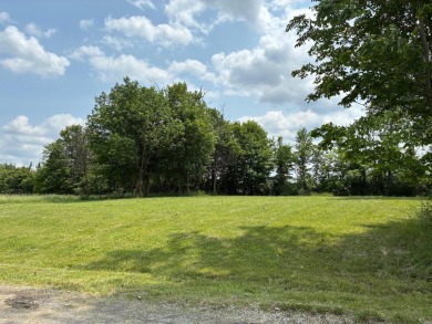 Lake Lot For Sale in Mount Gilead, Ohio