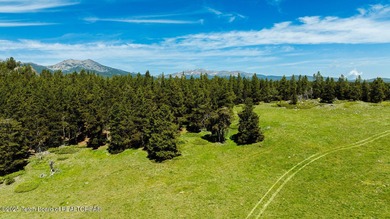 For the first time ever, this Historic Hazelton Peak Retreat - photo 51