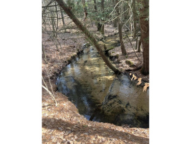 Lake Acreage For Sale in White Cloud, Michigan