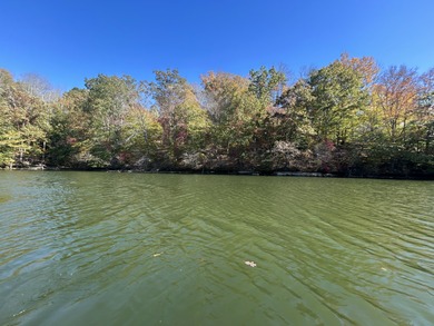 Lake Lot For Sale in Goodview, Virginia