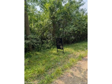 Square Lake Lot For Sale in Bloomfield Michigan