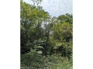 PERFECT NON BUILDABLE WATERFRONT PROPERTY READY FOR YOU TO BUILD - photo 2
