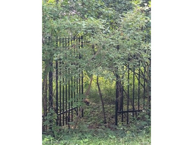 PERFECT NON BUILDABLE WATERFRONT PROPERTY READY FOR YOU TO BUILD - photo 3