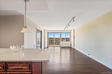 Luxury High Rise Bldg With an Unobstructed South East Water View - photo 4