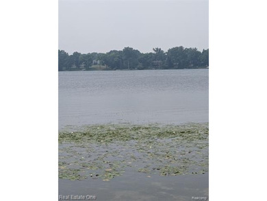 PERFECT NON BUILDABLE WATERFRONT PROPERTY READY FOR YOU TO BUILD - photo 5