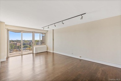 Luxury High Rise Bldg With an Unobstructed South East Water View - photo 8