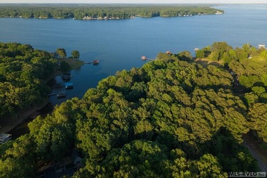 Moderately wooded waterfront lot with plenty of natural light - photo 11