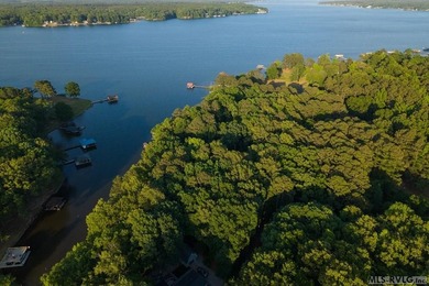Moderately wooded waterfront lot with plenty of natural light - photo 12