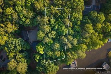Moderately wooded waterfront lot with plenty of natural light - photo 13
