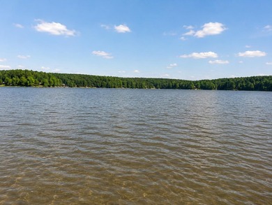 Dreaming of living on the water? This beautiful ranch style home - photo 4