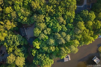 Moderately wooded waterfront lot with plenty of natural light - photo 15