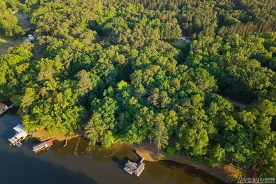 Moderately wooded waterfront lot with plenty of natural light - photo 16