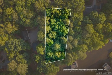 Moderately wooded waterfront lot with plenty of natural light - photo 18