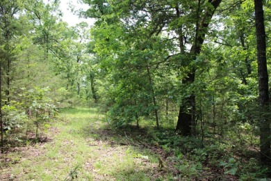 Lake Acreage For Sale in Flippin, Arkansas