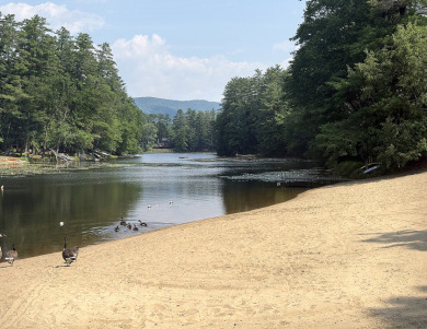 Log Home, picturesque, babbling brook, private community beach - photo 21