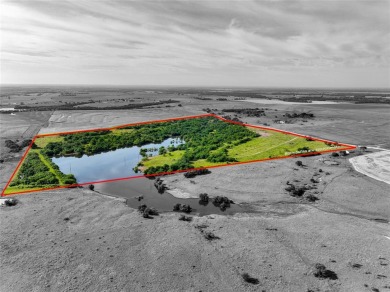 (private lake, pond, creek) Acreage For Sale in Mertens Texas
