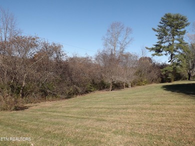 1.8 ACRES WOODED. LAND IS ALONG THE N BROD ST IN FRONT OF FOOD - photo 2