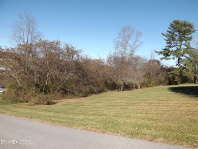 1.8 ACRES WOODED. LAND IS ALONG THE N BROD ST IN FRONT OF FOOD - photo 3