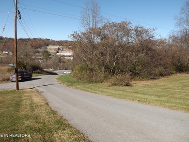 1.8 ACRES WOODED. LAND IS ALONG THE N BROD ST IN FRONT OF FOOD - photo 4