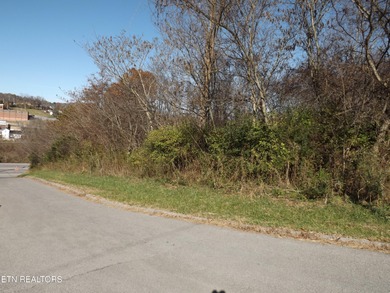1.8 ACRES WOODED. LAND IS ALONG THE N BROD ST IN FRONT OF FOOD - photo 5