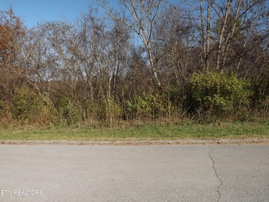 1.8 ACRES WOODED. LAND IS ALONG THE N BROD ST IN FRONT OF FOOD - photo 6