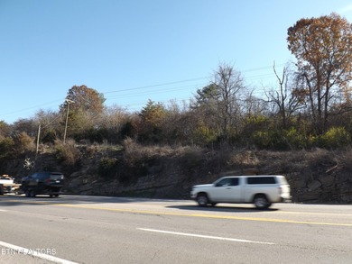 1.8 ACRES WOODED. LAND IS ALONG THE N BROD ST IN FRONT OF FOOD - photo 9