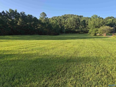 This 2.2 acre cleared lot is located on the Coosa River. It - photo 4
