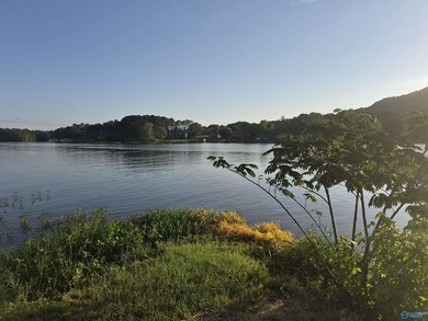 This 2.2 acre cleared lot is located on the Coosa River. It - photo 8