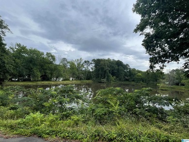 (private lake, pond, creek) Acreage For Sale in Leeds Alabama