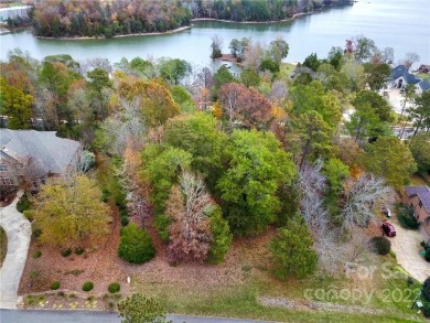 Lake Wylie Lot Sale Pending in Clover South Carolina