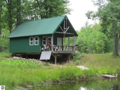 Lake Home For Sale in Cadillac, Michigan