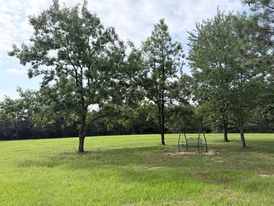 A rare find in Jefferson Davis County - 56 acres of mixed - photo 11