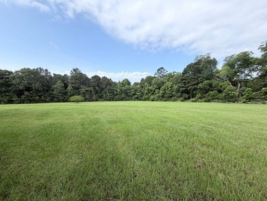 A rare find in Jefferson Davis County - 56 acres of mixed - photo 13