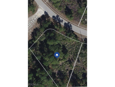 Lehigh Acres Area Lot For Sale in Lehigh Acres Florida