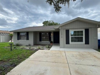 Lake Home For Sale in Tampa, Florida